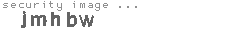 security image
