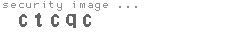 security image