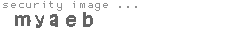 security image