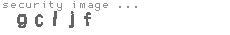 security image