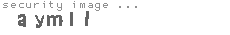 security image