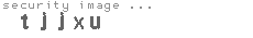 security image