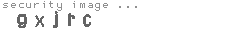 security image