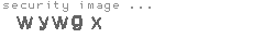 security image