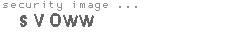 security image