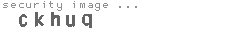 security image