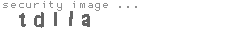 security image