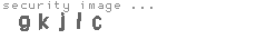 security image