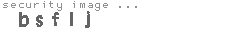 security image