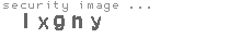 security image