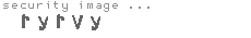 security image