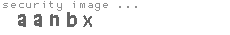 security image