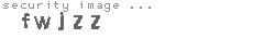 security image