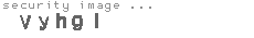 security image