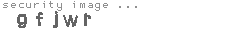 security image