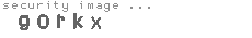 security image