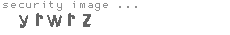 security image