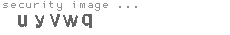 security image