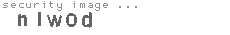 security image