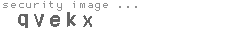 security image
