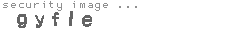 security image