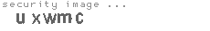 security image