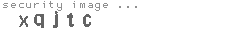 security image
