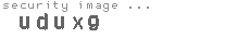 security image