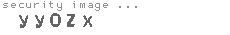 security image