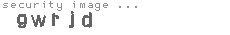 security image
