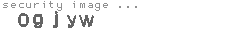 security image