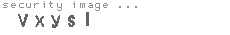 security image