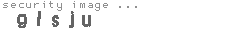 security image