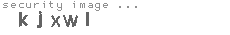 security image