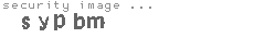 security image