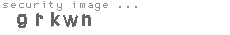 security image