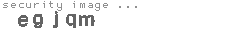 security image