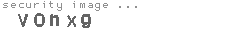 security image