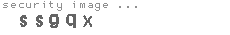 security image