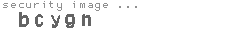 security image
