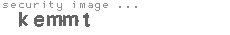 security image