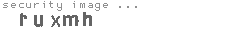 security image