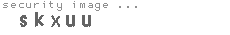 security image
