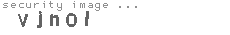 security image