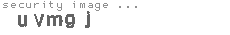 security image