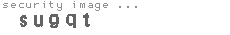 security image