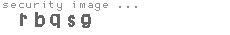 security image