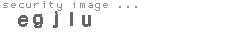 security image