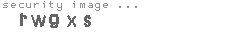 security image
