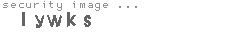 security image